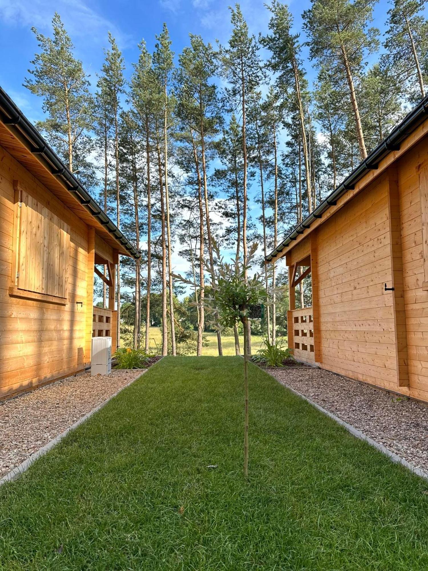 Stary Las Siemczyno Exterior foto
