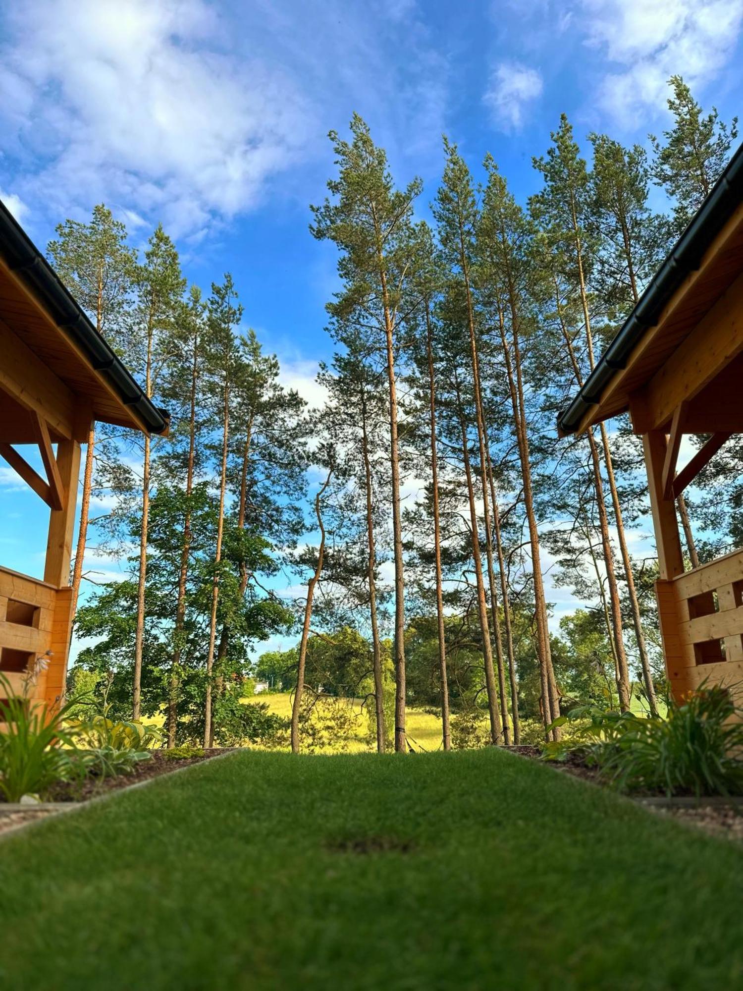 Stary Las Siemczyno Exterior foto